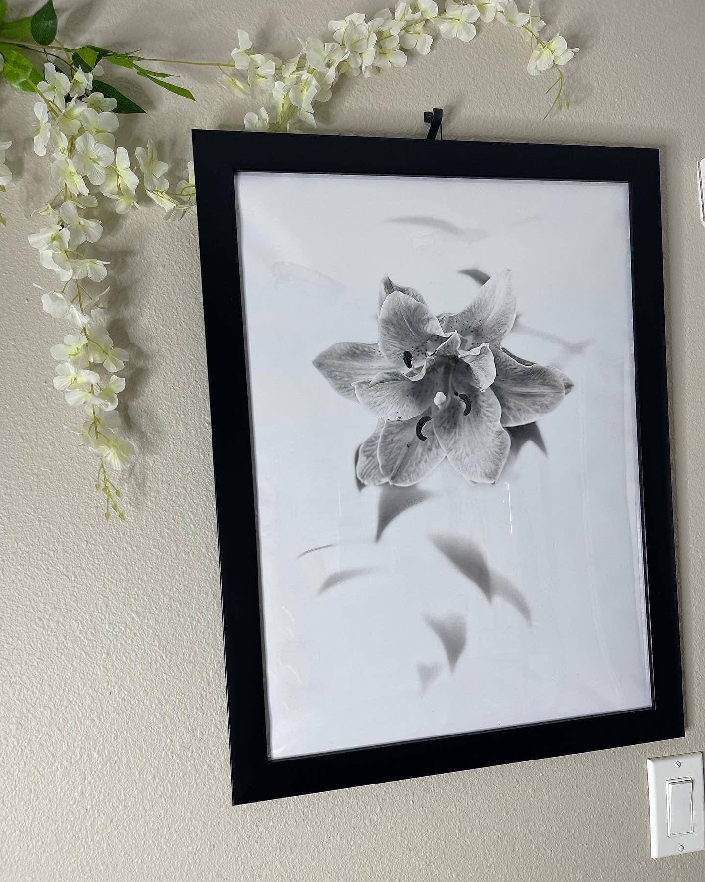 Life in Bloom: Photography by Sacha